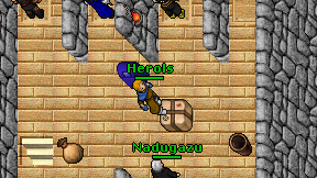 Herols on screen