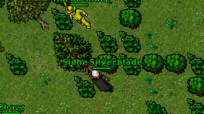 Sidhe Silverblade on screen
