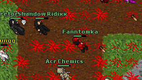 Fanntomka on screen