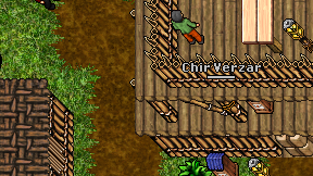 Chir Verzar on screen
