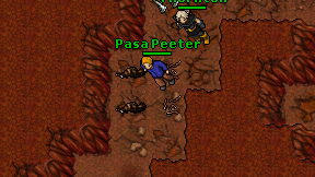 Pasa Peeter on screen