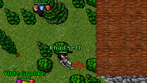 Khad Seth on screen