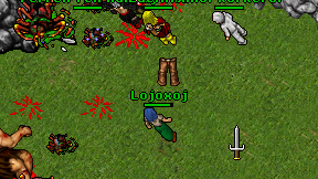 Lojoxoj on screen