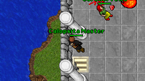Calopsita Master on screen