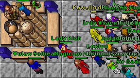 Lady Rich on screen