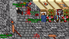 Bliizzard on screen