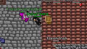 Dolar'Sorx on screen