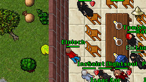 Elolech on screen