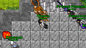 Wizivo on screen