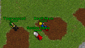 Keyll Skyn on screen