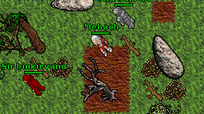 Mehach on screen