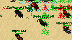 Dudu Drakell on screen