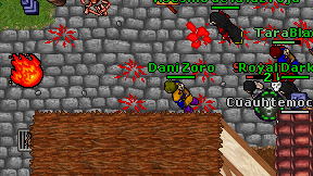Dani Zoro on screen