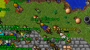 Cayo Delimbra on screen