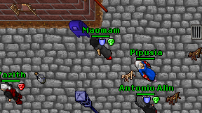 Maomam on screen