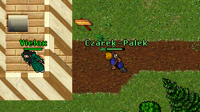 Czarek-Palek on screen