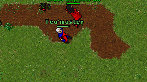 Teu'master on screen