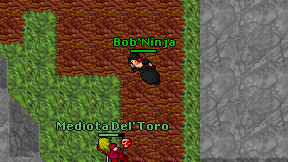 Bob'Ninja on screen