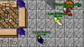 Iced Corn on screen