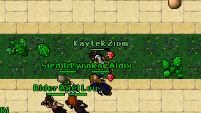 Kaytek Ziom on screen