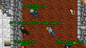Pepssi Druid on screen