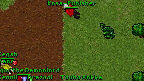 Kosa-Punisher on screen