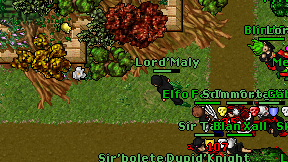 Lord'Maly on screen