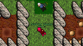 Norus Jaslo on screen