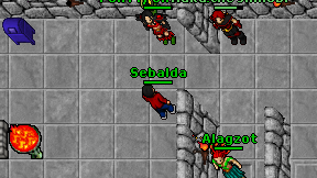 Sebalda on screen