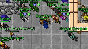 Dexflex on screen
