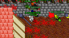 Loxomofu on screen