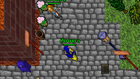 Zooma on screen