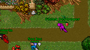 Fiolek Destroyer on screen