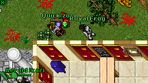 Royal Frog on screen