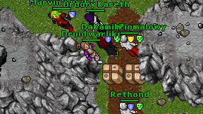 Druid warlike on screen