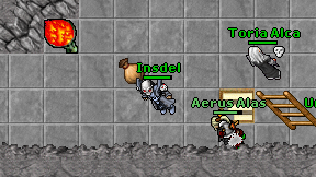 Insdel on screen