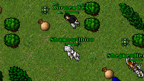 Shamou Obico on screen