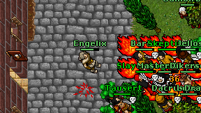 Engelix on screen