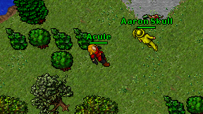 Acule on screen