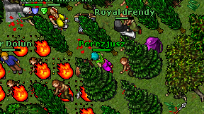 Perezjusz on screen