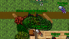 Elite Knight-Bartek on screen