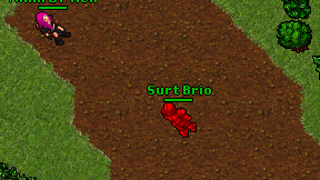 Surt Brio on screen