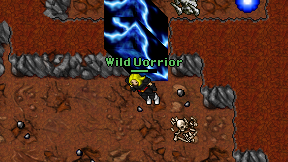 Wild Uorrior on screen