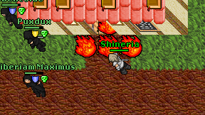 Shineria on screen