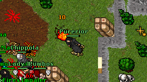Purerior on screen