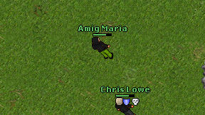 Amig Maria on screen