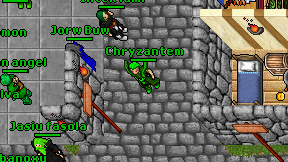 Chryzantem on screen