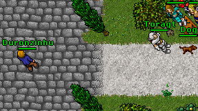 Toragt on screen
