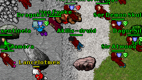 Akilis-druid on screen