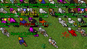Shir Eria on screen
